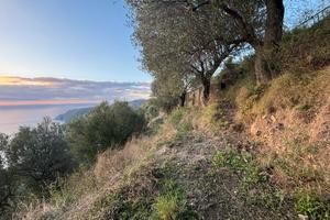 Proprietà panoramica