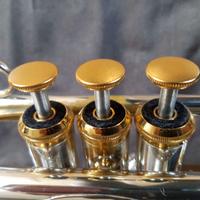 Bottoni a pistone NM Project "Brass" per tromba