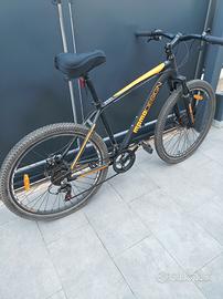 bici mountain bike
