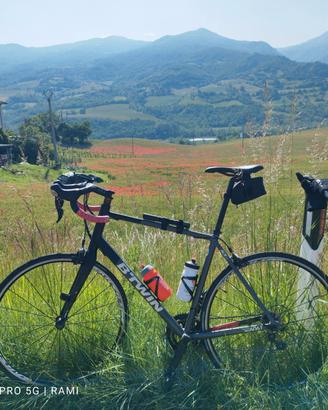 bicicletta 