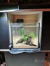Acquario 20L