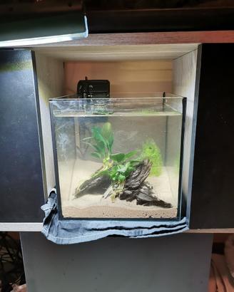 Acquario 20L
