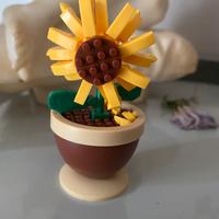 Mini Girasole
