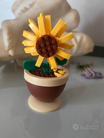 Mini Girasole