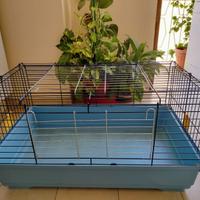 Gabbia per Porcellini D'India / conigli / criceti