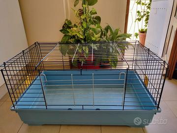 Gabbia per Porcellini D'India / conigli / criceti