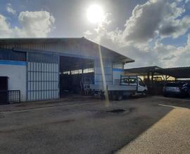 NETTUNO ampio capannone 330mq