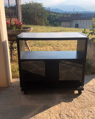 Mobile TV