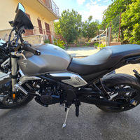 Voge trofeo 500ac