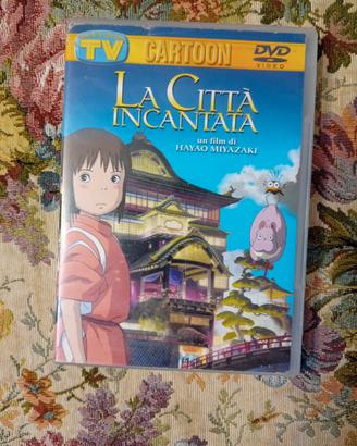 DVD cartoni animati 