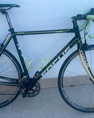 Bicicletta Focus Culebro