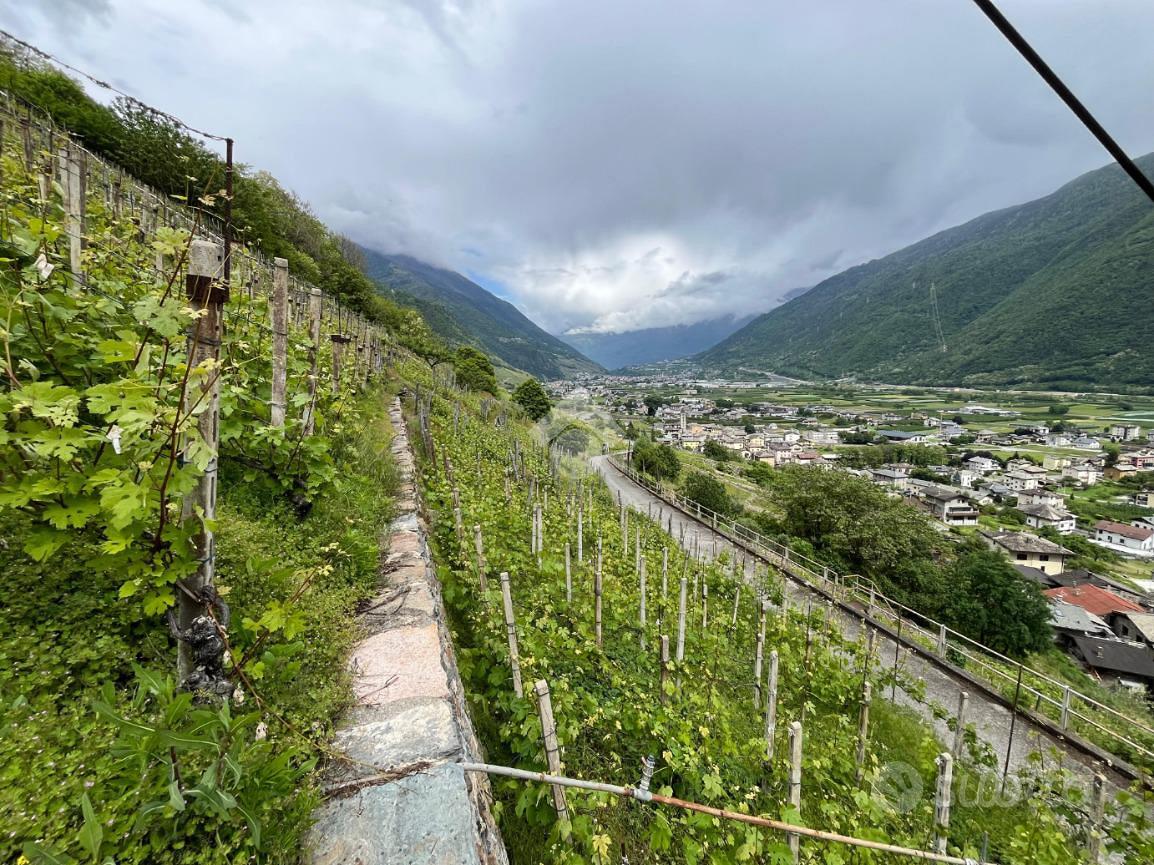 TER. AGRICOLO A VILLA DI TIRANO - Vista 4