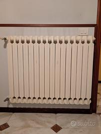 Termosifone in ghisa