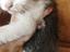 Immagine 5