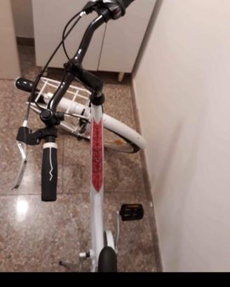 bicicletta nuova