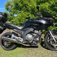 Yamaha TDM 900 - 2005