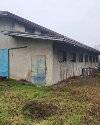 Padova Granze di Camin:ZAI Capannone di 190 mq con