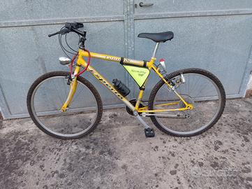 MTB uomo esperia