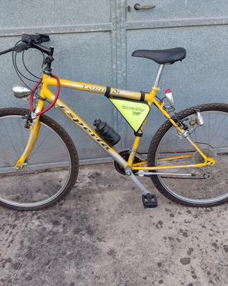 MTB uomo esperia