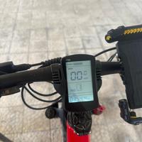 Bicicletta elettrica