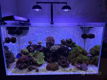 2x HM Electronics Cetus 2 Marine 84w + supporto