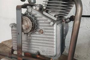 motore cucciolo ducati 