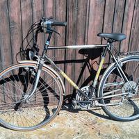 bicicletta city bike Vicini