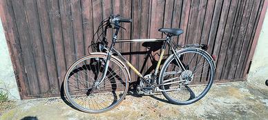 bicicletta city bike Vicini