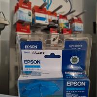 Epson T 0452