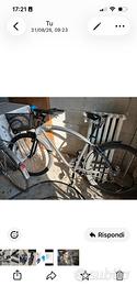 bici city bike da donna