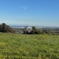 TER. AGRICOLO A POLIGNANO A MARE