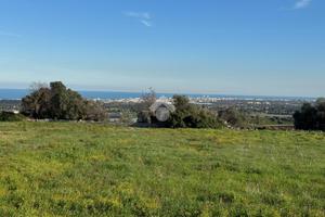 TER. AGRICOLO A POLIGNANO A MARE