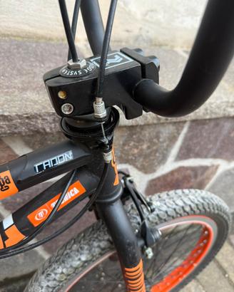 BMX Freestyle