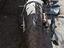 Immagine 3
