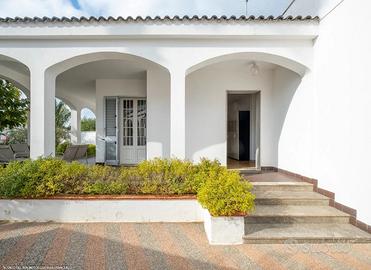 Villa 500metri da lidi Belvedere-Hokipa-Bassamarea