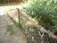 Immagine 24