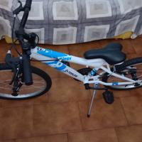 bicicletta bimbi 