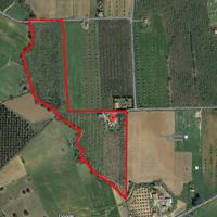 Azienda Agricola - Grosseto