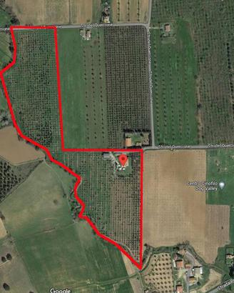 Azienda Agricola - Grosseto