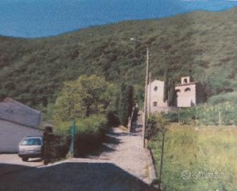 Bosco con Tereno