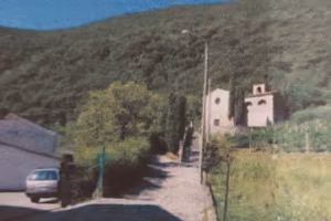 Bosco con Tereno