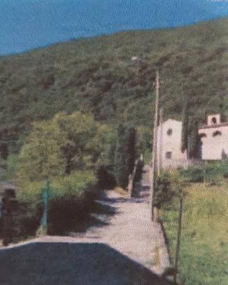 Bosco con Tereno