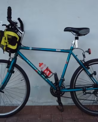Mtb acciaio 26