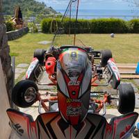 Go Kart 60 EKS completo di motore TM