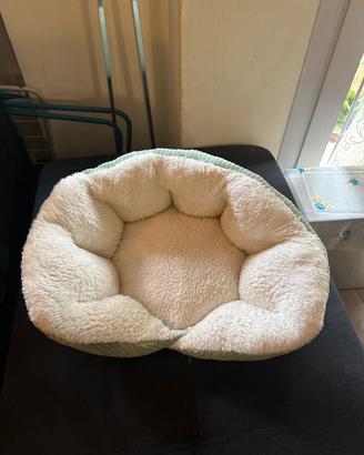 Cuccia gatto