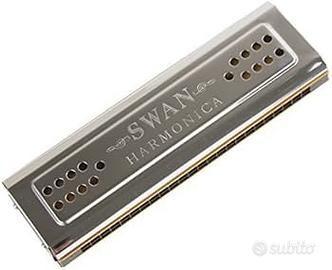Armonica tremolo professionale 24 fori