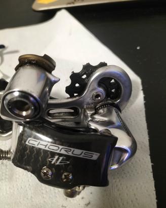 campagnolo chorus 11 velocità 