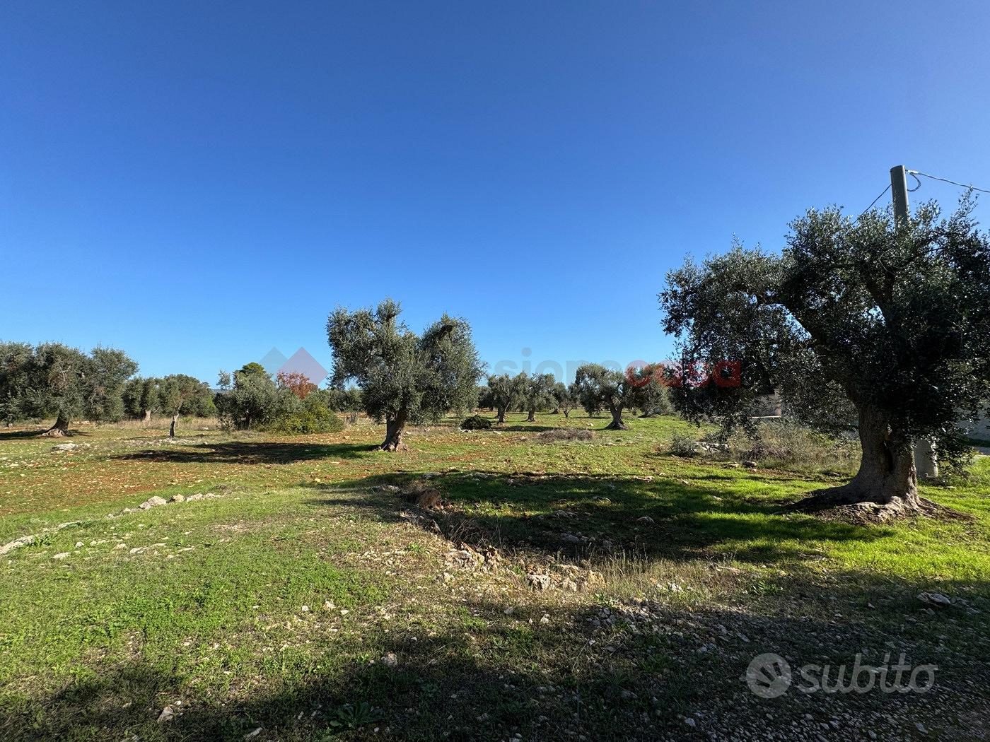 Terreno Agricolo Grottaglie [GP2523VCG] - Vista 4