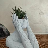 Vaso per piante grasse, arredamento casa