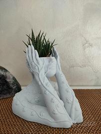 Vaso per piante grasse, arredamento casa